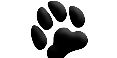 Black Paw Photo logo for web development and SEO services by Boheema