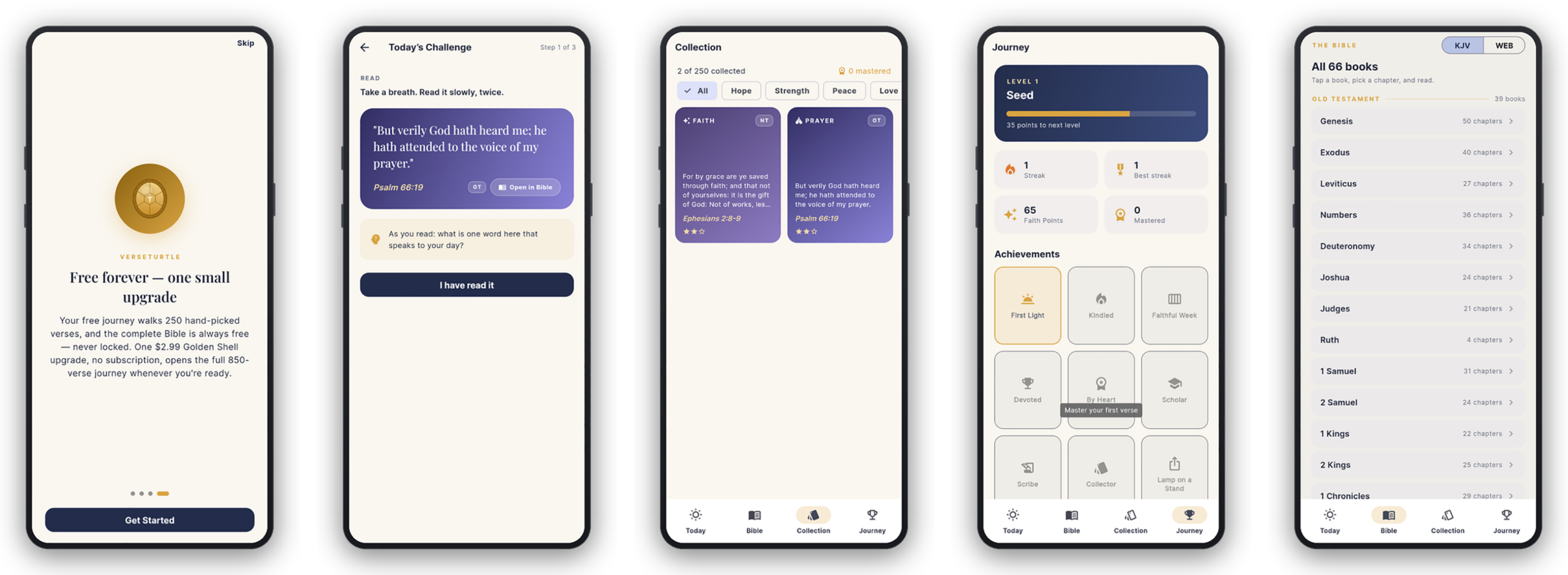 Lineup of VerseTurtle app screens shown across several phones